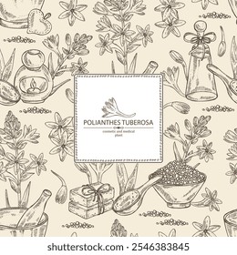 Fundo com polianthes tuberosa: planta tuberosa, folhas e flores de polianthes tuberosa. Óleo, sabão e sal de banho . Cosméticos e planta médica. Ilustração desenhada à mão vetorial