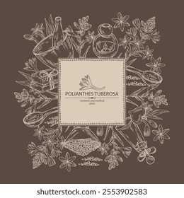 Background with  polianthes tuberosa: tuberose  plant, leaves and polianthes tuberosa flowers. Oil, soap and bath salt . Cosmetics and medical plant. Vector hand drawn illustration