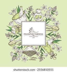 Background with  polianthes tuberosa: tuberose  plant, leaves and polianthes tuberosa flowers. Oil, soap and bath salt . Cosmetics and medical plant. Vector hand drawn illustration