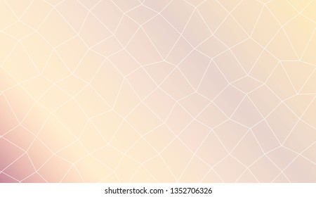 Background in polygonal mesh style. For your business, advert, wallpaper. Vector illustration. Creative gradient color