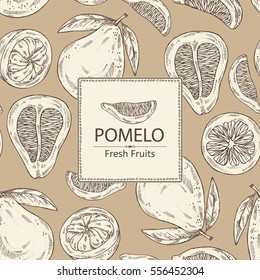 Background with pomelo and pomelo slice. hand drawn.