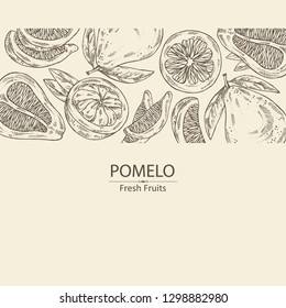 Background with pomelo and pomelo slice. Vector hand drawn illustration