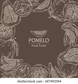 Background with pomelo and pomelo slice. Vector hand drawn illustration