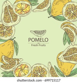 Background with pomelo and pomelo slice. Vector hand drawn illustration