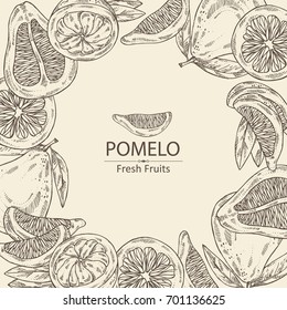 Background with pomelo and pomelo slice. Vector hand drawn illustration