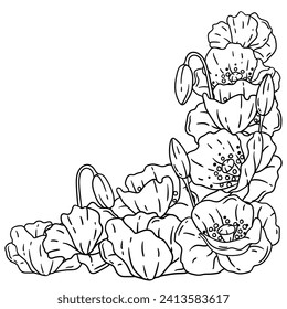 Background with poppies. Beautiful decorative plants.