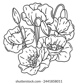 Background with poppies. Beautiful decorative plants.