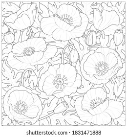 background with poppies black and white vector