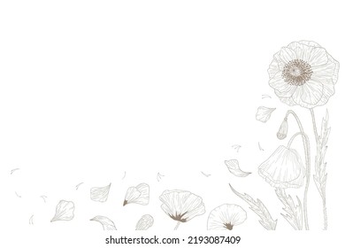 Background poppy flower and leaves drawing illustration. for pattern, logo, template, banner, posters, invitation and greeting card design.