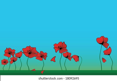 Background with poppy. Other my illustration you can see in my gallery