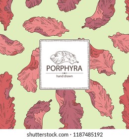 Background with porphyra: porphyra seaweed. Red algae. Edible seaweed. Vector hand drawn illustration.