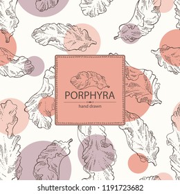 Background with porphyra: porphyra seaweed. Red algae. Edible seaweed. Vector hand drawn illustration.