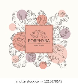 Background with porphyra: porphyra seaweed. Red algae. Edible seaweed. Vector hand drawn illustration.