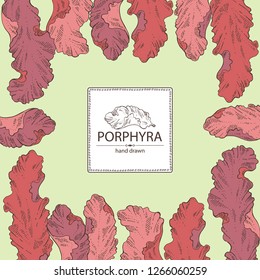 Background with porphyra: porphyra seaweed. Red algae. Edible seaweed. Vector hand drawn illustration