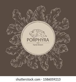 Background with porphyra: porphyra seaweed. Red algae. Edible seaweed. Vector hand drawn illustration
