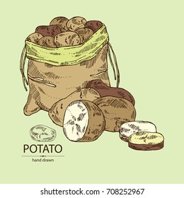 Background with potatoes and bag with potatoes.  Vector hand drawn illustration.