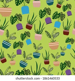 Background of potted indoor flowers. Vector illustration.