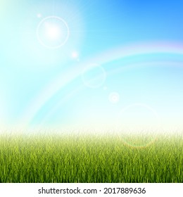 Background for a presentation on ecology. Grass with the glare of the sun. Abstract vector illustration of grass on a blue background with a rainbow and sun glare.