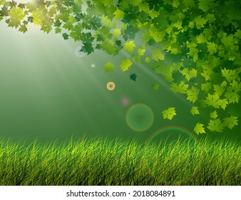 Background for a presentation on ecology. Landscape grass wind and leaves. Abstract vector illustration of grass on a green background and flying leaves in the rays of light.
