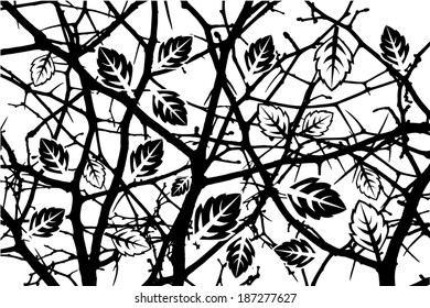 Background prickly branches with leaves. Vector