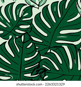 background for print pattern with adam rib leaves, Exotic plants background for banner, prints, decor, wall art.