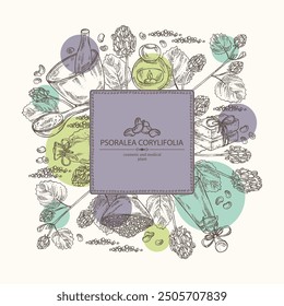 Background with psoralea corylifolia: plant, leaves, psoralea corylifolia flowers and seeds. Malaysian scurfpea. Oil, soap and bath salt . Cosmetics and medical plant. Vector hand drawn