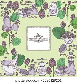 Background with psoralea corylifolia: plant, leaves, psoralea corylifolia flowers and seeds. Malaysian scurfpea. Oil, soap and bath salt . Cosmetics and medical plant. Vector hand drawn