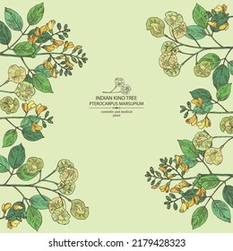 Background with pterocarpus marsupium: pterocarpus marsupium plant, leaves, seeds and pterocarpus marsupium flowers. Indian kino tree. Cosmetic, perfumery and medical plant. Vector drawn