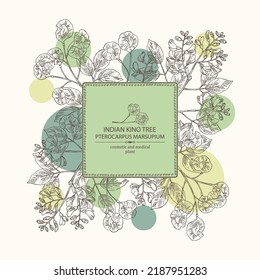 Background with pterocarpus marsupium: pterocarpus marsupium plant, leaves, seeds and pterocarpus marsupium flowers. Indian kino tree. Cosmetic, perfumery and medical plant. Vector drawn