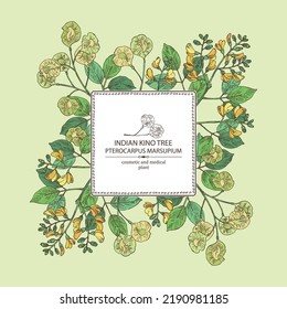 Background with pterocarpus marsupium: pterocarpus marsupium plant, leaves, seeds and pterocarpus marsupium flowers. Indian kino tree. Cosmetic, perfumery and medical plant. Vector drawn