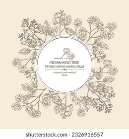 Background with pterocarpus marsupium: pterocarpus marsupium plant, leaves, seeds and pterocarpus marsupium flowers. Indian kino tree. Cosmetic, perfumery and medical plant. Vector drawn