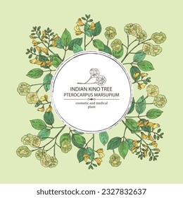 Background with pterocarpus marsupium: pterocarpus marsupium plant, leaves, seeds and pterocarpus marsupium flowers. Indian kino tree. Cosmetic, perfumery and medical plant. Vector drawn