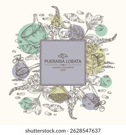 Background with pueraria lobata: pueraria lobata plant, leaves, flowers and pueraria lobata root. Oil, soap and bath salt . Cosmetics and medical plant. Vector hand drawn