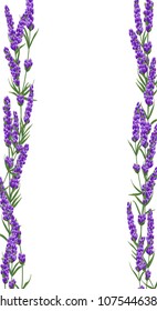 Lavender Flowers Leaves Creative Frame On Stock Photo (Edit Now) 1779091277