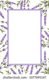 background of purple lavender flowers in watercolor style.
