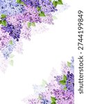 Background with purple, pink, and blue lilac flowers. Vector greeting or invitation card design. Hand-drawn illustration, not AI