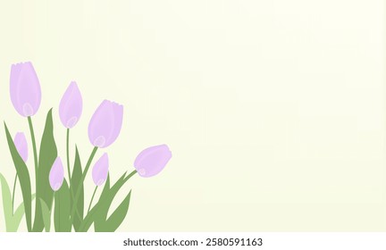 Background with purple tulips, vector illustration set. Women day 8 march spring symbol. Bouquet fresh shiny tulips