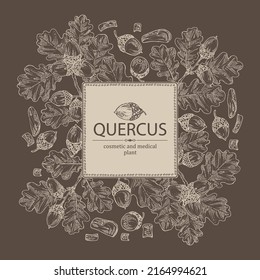 Background with quercus: branch of oak, leaves, oak bark, quercus tree and oak acorn. Cosmetics and medical plant. Vector hand drawn illustration.