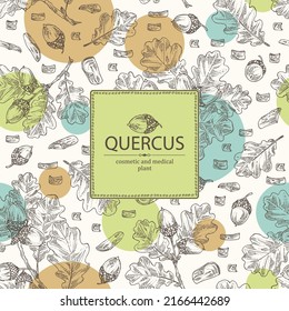 Background with quercus: branch of oak, leaves, oak bark, quercus tree and oak acorn. Cosmetics and medical plant. Vector hand drawn illustration.