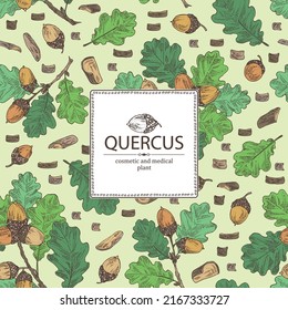 Background with quercus: branch of oak, leaves, oak bark, quercus tree and oak acorn. Cosmetics and medical plant. Vector hand drawn illustration.