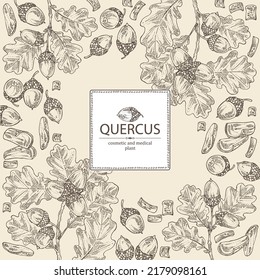 Background with quercus: branch of oak, leaves, oak bark, quercus tree and oak acorn. Cosmetics and medical plant. Vector hand drawn illustration.