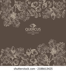 Background with quercus: branch of oak, leaves, oak bark, quercus tree and oak acorn. Cosmetics and medical plant. Vector hand drawn illustration.