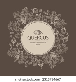 Hintergrund mit Quercus: Eiche, Blätter, Eichenrinde, Quercus-Baum und Eichenkorn. Kosmetika und medizinische Anlagen. Vektorgrafik, handgezeichnet.