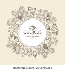 Antecedentes con quercus: rama de roble, hojas, corteza de roble, árbol quercus y bellota de roble. Cosméticos y plantas médicas. Ilustración dibujada a mano por vectores.