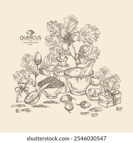 Background with quercus: branch of oak, leaves, oak bark, quercus tree and oak acorn. Oil, soap and bath salt . Cosmetics and medical plant. Vector hand drawn illustration