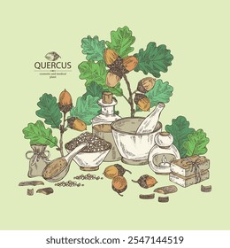 Fundo com quercus: ramo de carvalho, folhas, casca de carvalho, quercus e bolota de carvalho. Óleo, sabão e sal de banho . Cosméticos e planta médica. Ilustração desenhada à mão vetorial