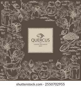 Fundo com quercus: ramo de carvalho, folhas, casca de carvalho, quercus e bolota de carvalho. Óleo, sabão e sal de banho . Cosméticos e planta médica. Ilustração desenhada à mão vetorial