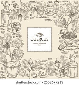 Fundo com quercus: ramo de carvalho, folhas, casca de carvalho, quercus e bolota de carvalho. Óleo, sabão e sal de banho . Cosméticos e planta médica. Ilustração desenhada à mão vetorial