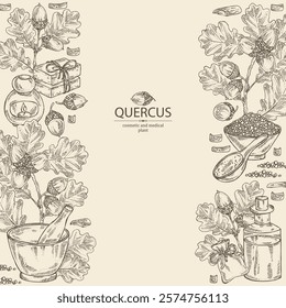 Background with quercus: branch of oak, leaves, oak bark, quercus tree and oak acorn. Oil, soap and bath salt . Cosmetics and medical plant. Vector hand drawn illustration