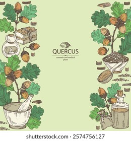 Background with quercus: branch of oak, leaves, oak bark, quercus tree and oak acorn. Oil, soap and bath salt . Cosmetics and medical plant. Vector hand drawn illustration